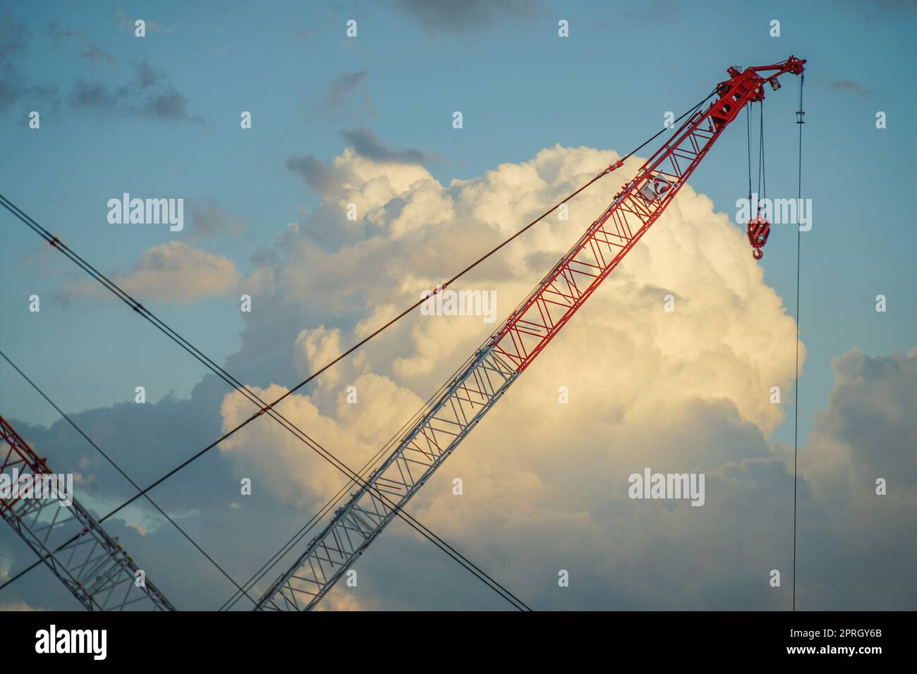 Grandes grues et orage d'été Banque D'Images