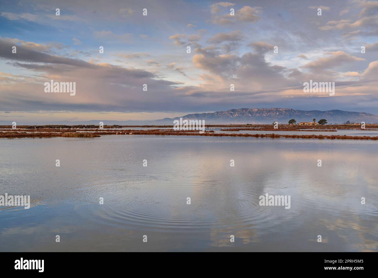 Chaîne de montagnes de Montsià vue de près de l'isthme Barra del Trabucador avec son reflet sur les eaux de la baie d'Alfacs dans le delta de l'Ebre (Espagne) Banque D'Images