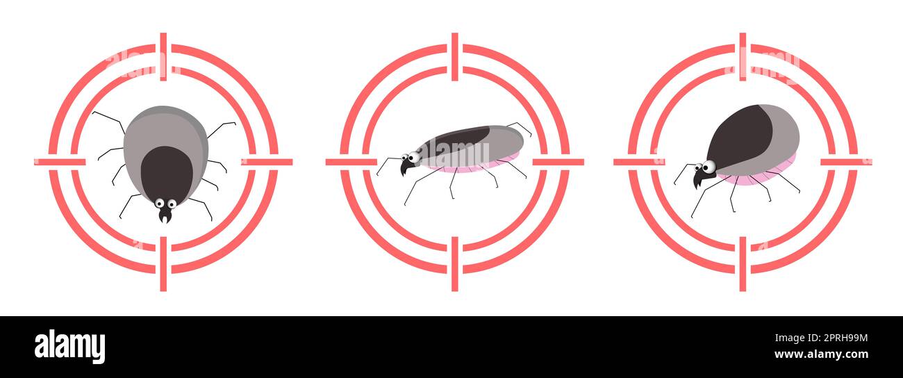 Parasites de tiques. Insecte aspirant du sang. Insecticide. Les colporteurs d'infection. Personnage d'insecte. Banque D'Images