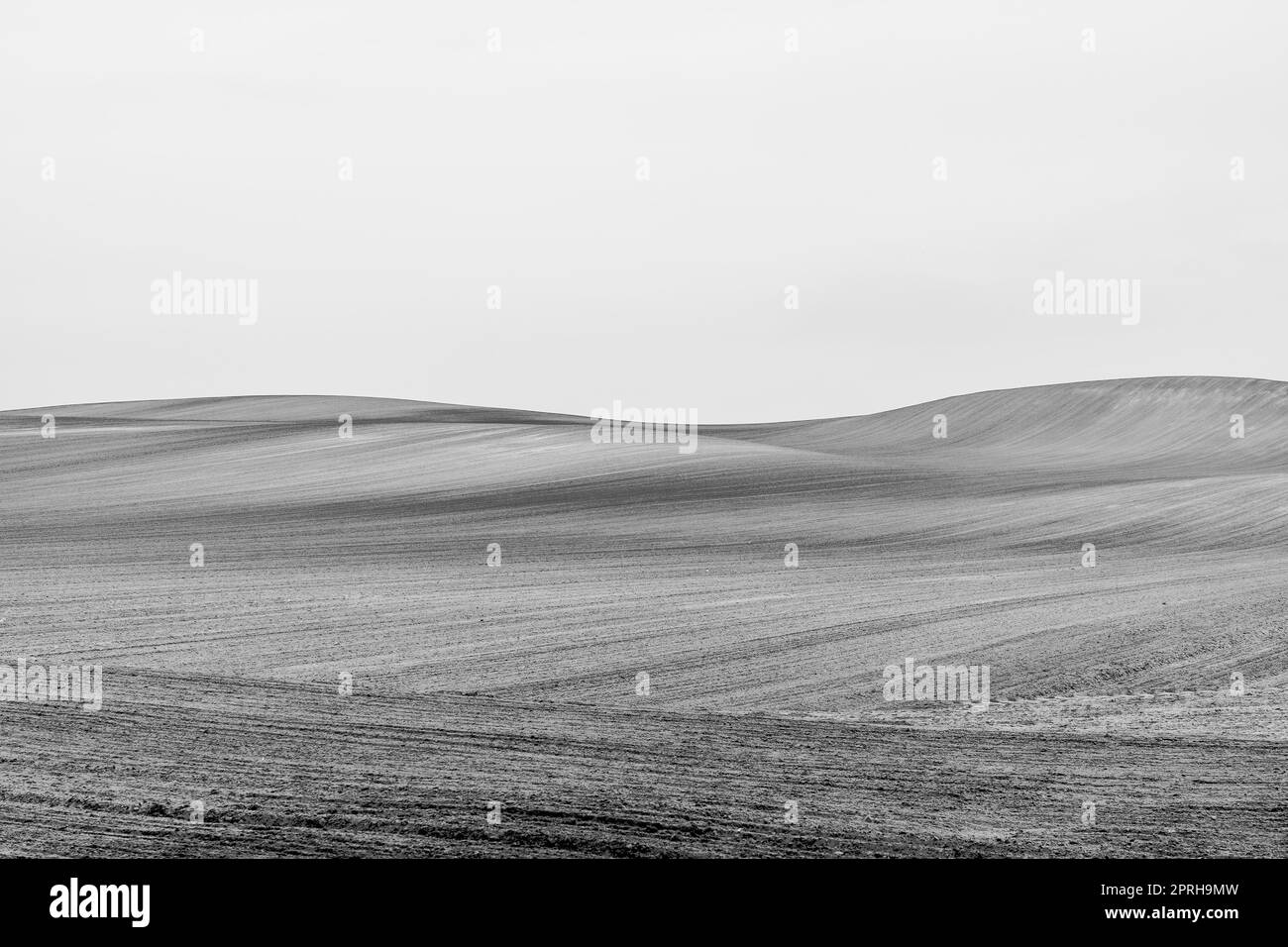 Agriculture. Champ fraîchement labouré. Paysage d'automne. Noir et blanc. Banque D'Images