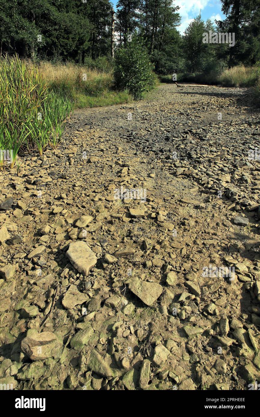 Lit de ruisseau séché avec du gravier non couvert après une longue période de sécheresse à l'été 2022 Banque D'Images