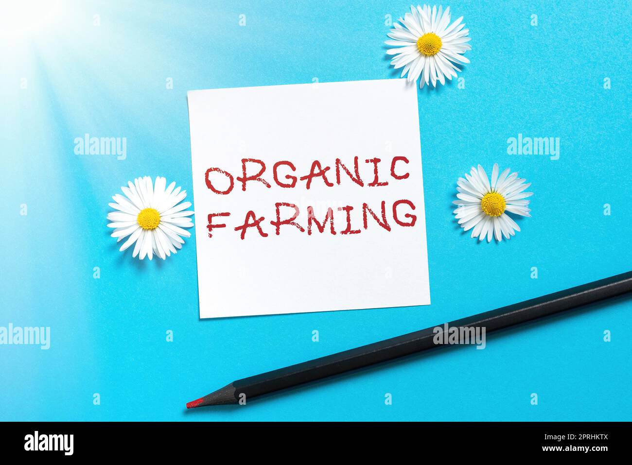 Rédaction affichage de texte Organic Farmingan système agricole intégré qui s'efforce de la durabilité. Aperçu de l'entreprise un système agricole intégré qui s'efforce de garantir la durabilité Banque D'Images Rédaction affichage de texte Organic Farmingan système agricole intégré qui s'efforce de la durabilité. Aperçu de l'entreprise un système agricole intégré qui s'efforce de garantir la durabilité Banque D'Images