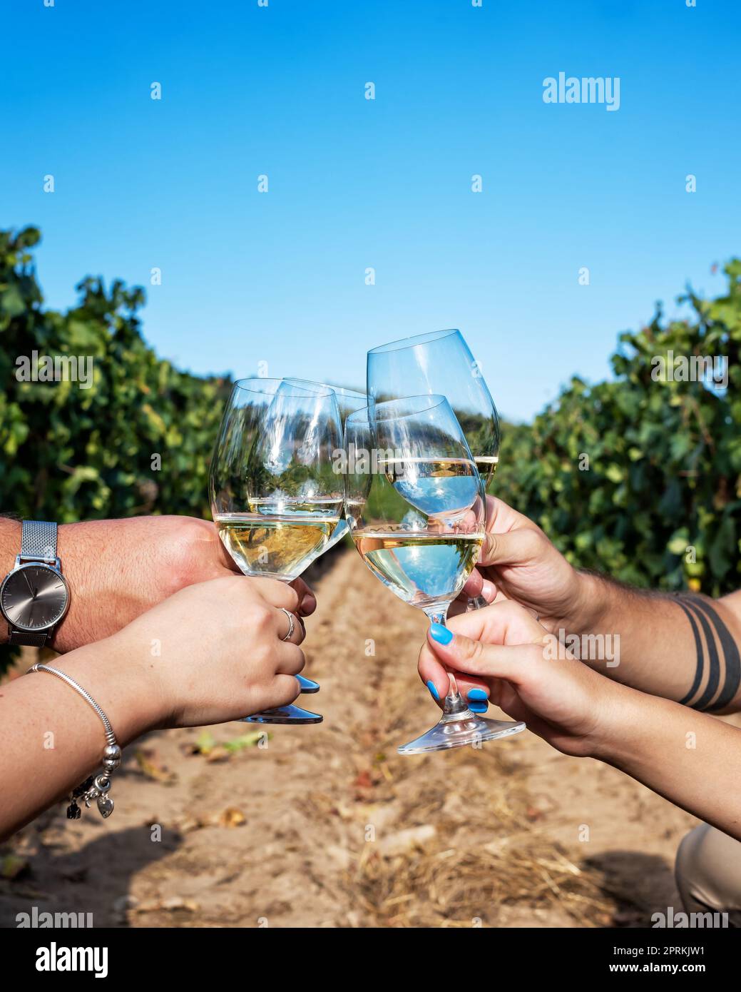 Vin de Vermentino. Les jeunes garçons toasts avec un verre de vin blanc ...