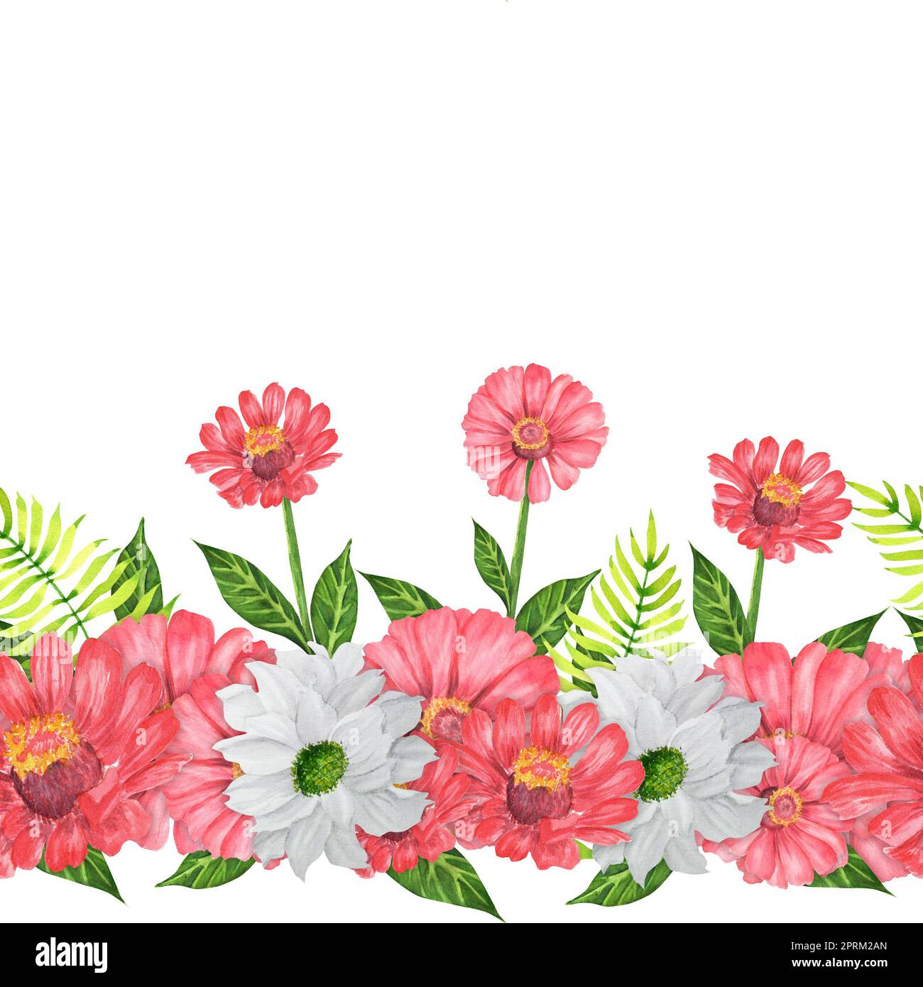 Tracé à la main aquarelle bordure sans couture avec zinnia, jardin maman et fougère. Une petite partie du grand ensemble BIRDS GARDEN Banque D'Images