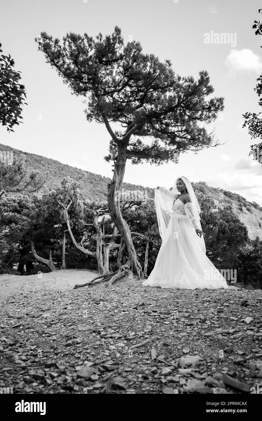 Une mariée noire vêque d'une robe blanche et d'un voile fluide marche à travers la vieille forêt, version noire et blanche Banque D'Images