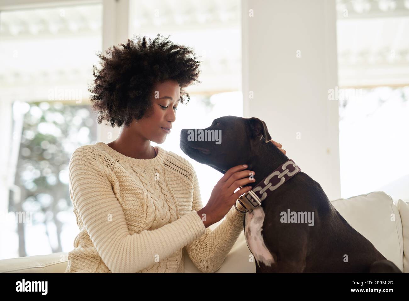 C'est un bon garçon. Une jeune femme attirante petant son chien tout en étant assise sur le canapé à la maison. Banque D'Images