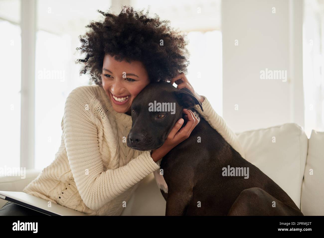 Il veut juste se câliner. Une jeune femme attrayante qui pille son chien tout en étant assise sur le canapé à la maison. Banque D'Images