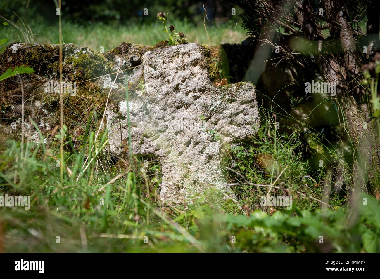 Pierre tombale très ancienne en grès rouge surcultivé avec de l'herbe et des mauvaises herbes Banque D'Images