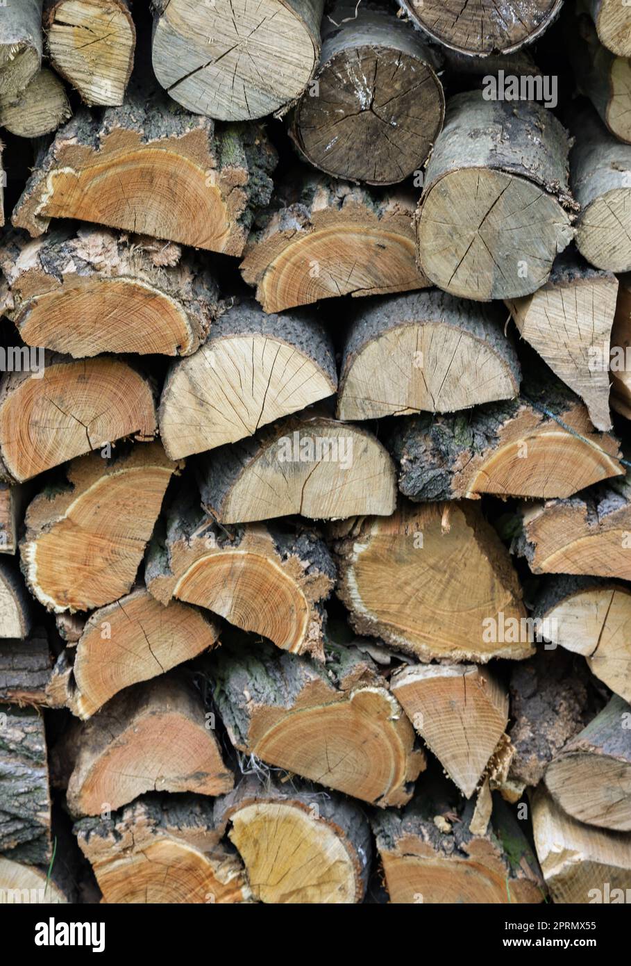 Pile de bois de chauffage prêt pour l'hiver Banque D'Images