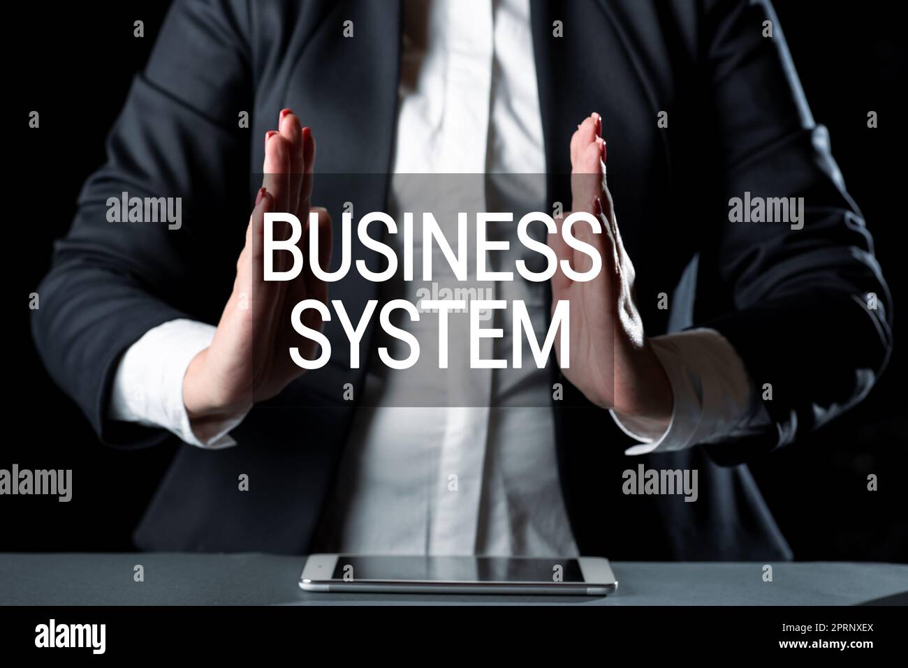 Légende de texte présentant Business SystemA méthode d'analyse de l'information des organisations. Business Showcase Une méthode d'analyse de l'information des organisations Banque D'Images