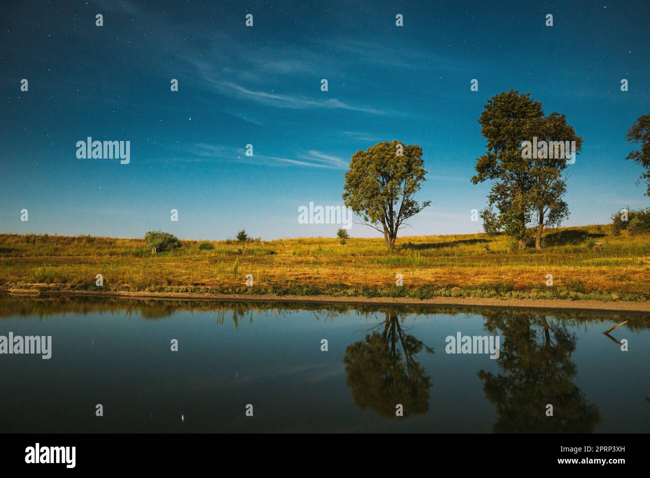 Blue Night Starry Sky au-dessus de la rivière Lake. Des étoiles et des arbres illuminés de nuit se reflètent dans l'eau. Paysage de nuit Banque D'Images