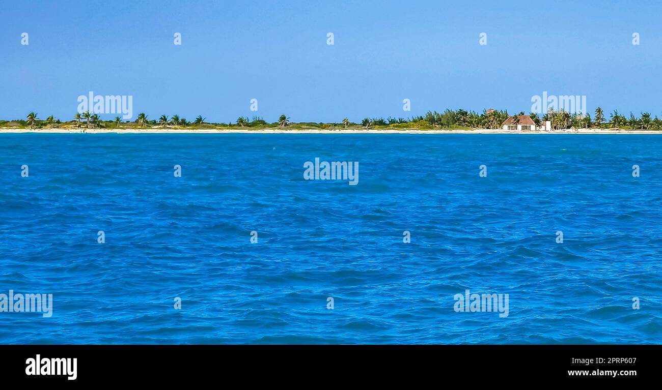 Excursion en bateau à Cancun au Mexique à l'île Mujeres Contoy Baleine Shark. Banque D'Images