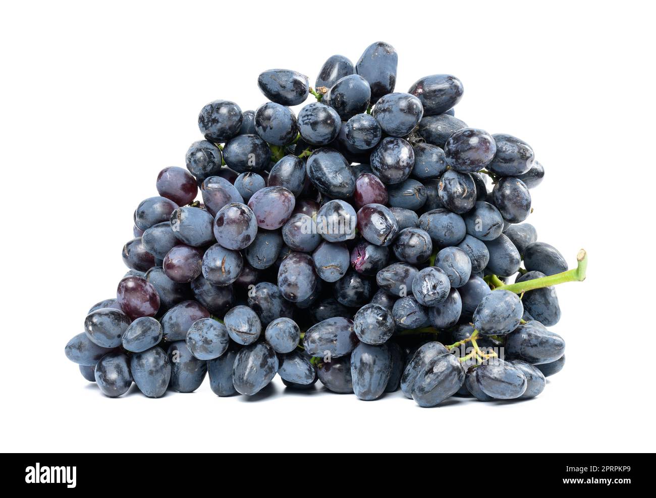 Raisins bleus mûrs sur fond blanc isolé, raisins de vin Banque D'Images