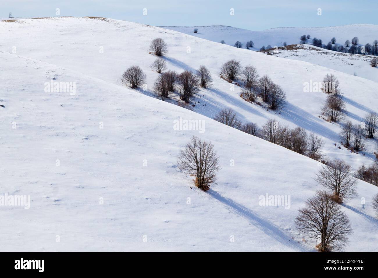 Paysage d'hiver avec neige des Alpes Banque D'Images