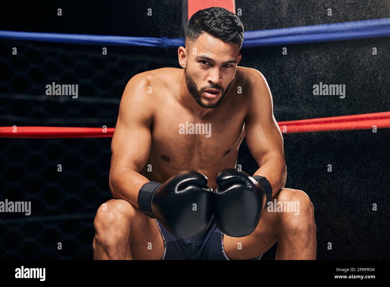 Fitness, motivation et boxe homme en compétition ring lutte à Wellness Gym pour l'exercice de santé, l'entraînement et l'entraînement. Portrait d'arrière-plan d'un boxeur fatigué avec vision, état d'esprit du gagnant ou objectifs sportifs Banque D'Images