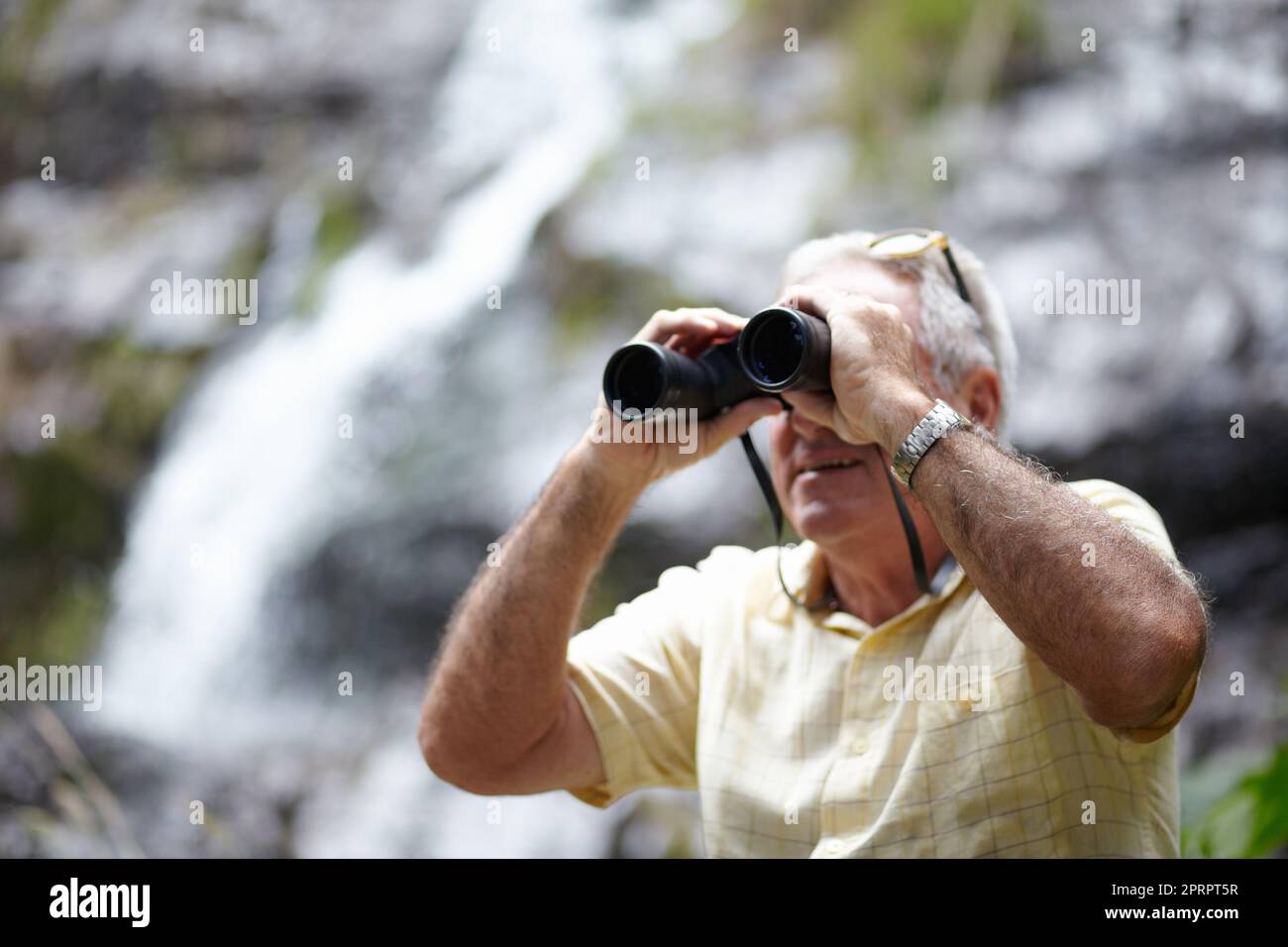 Balayage du paysage à la recherche d'oiseaux exotiques. Un homme senior regardant le paysage avec une paire de jumelles. Banque D'Images