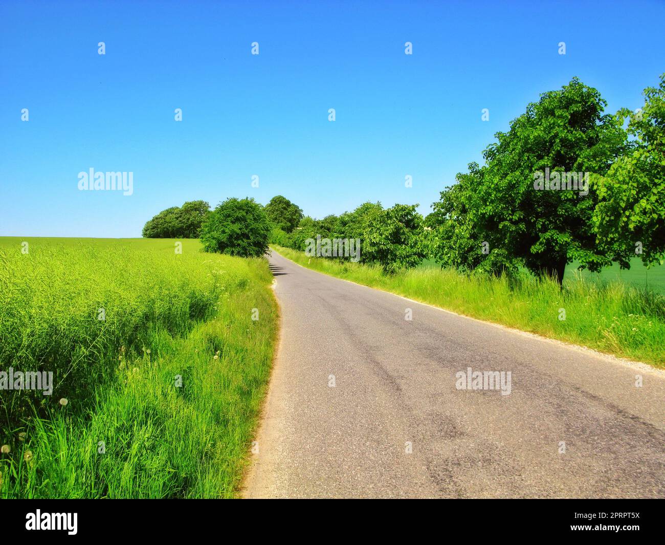 Explorez la campagne. Une route de campagne serpentant à travers un paysage pittoresque. Banque D'Images