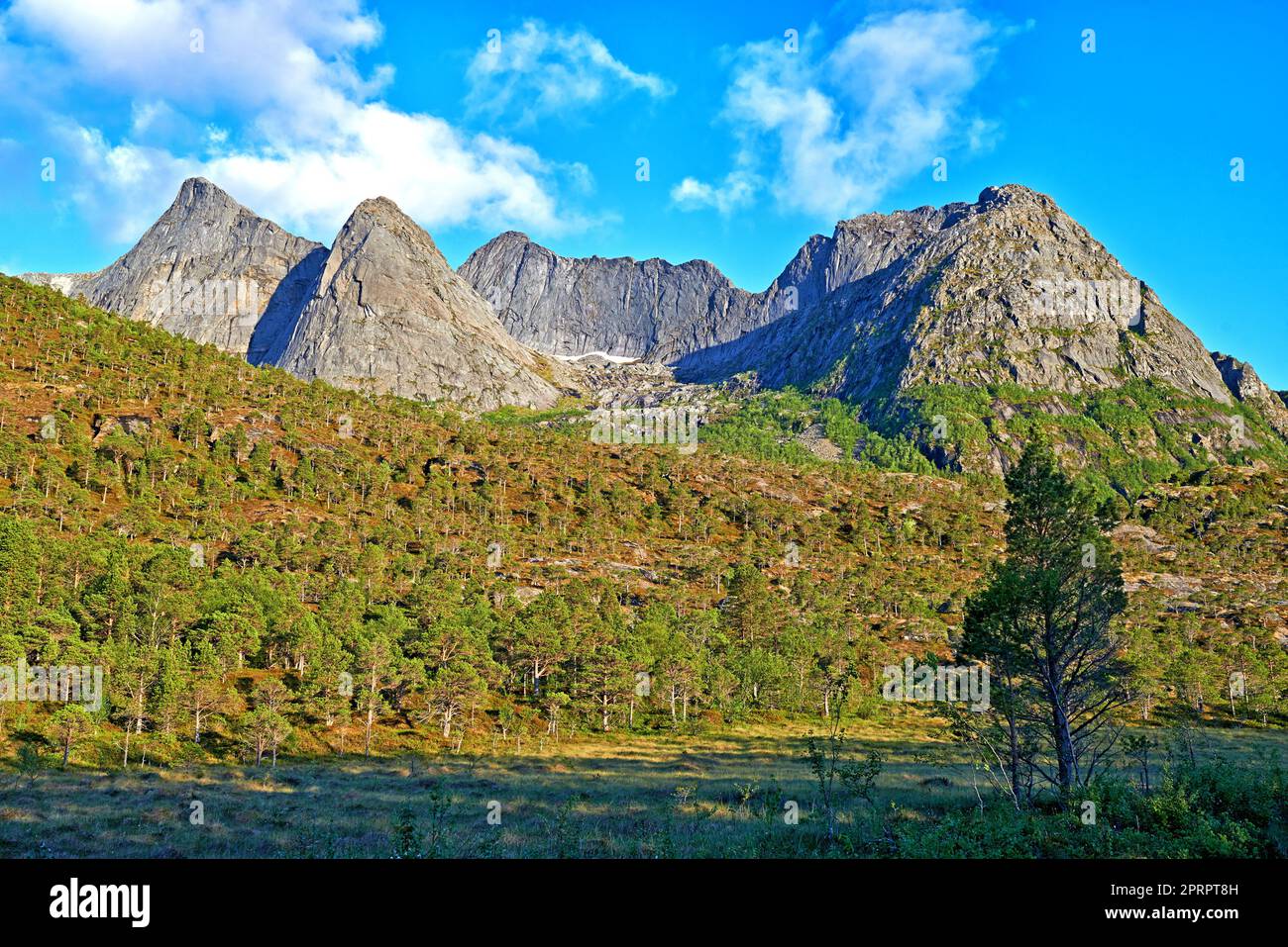 Belle Nordland - Norvège. Photo de paysage dans Nordland, près de la ville de Bodo, Norvège Banque D'Images