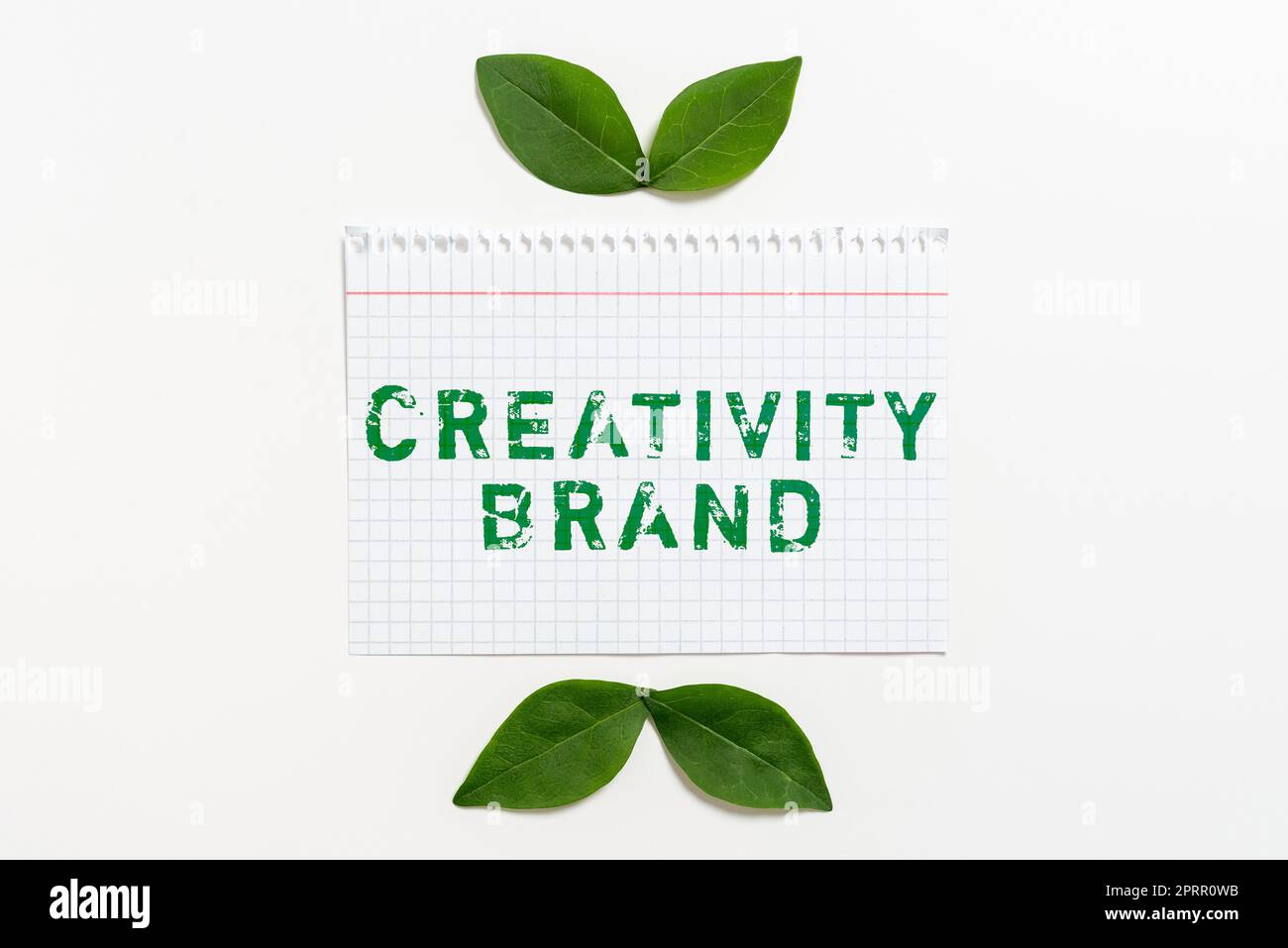Affiche montrant la créativité Branddesign nom ou caractéristique qui distingue l'organisation. Nom ou fonction de conception d'idée d'entreprise qui distingue l'organisation Banque D'Images