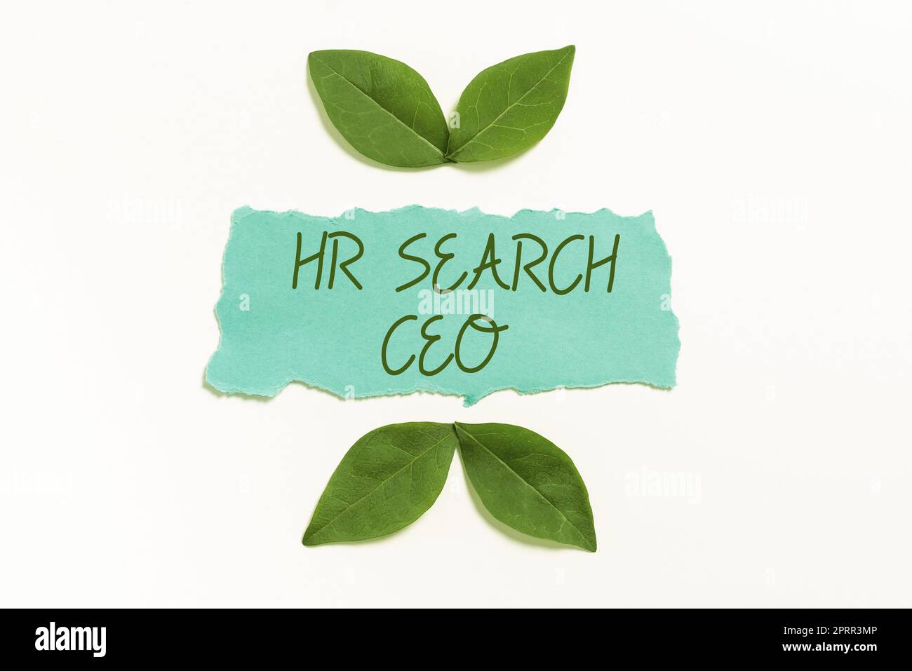 Affichage conceptuel HR Search CEO. Concept d'entreprise Ressources humaines à la recherche d'un nouveau Directeur général Banque D'Images