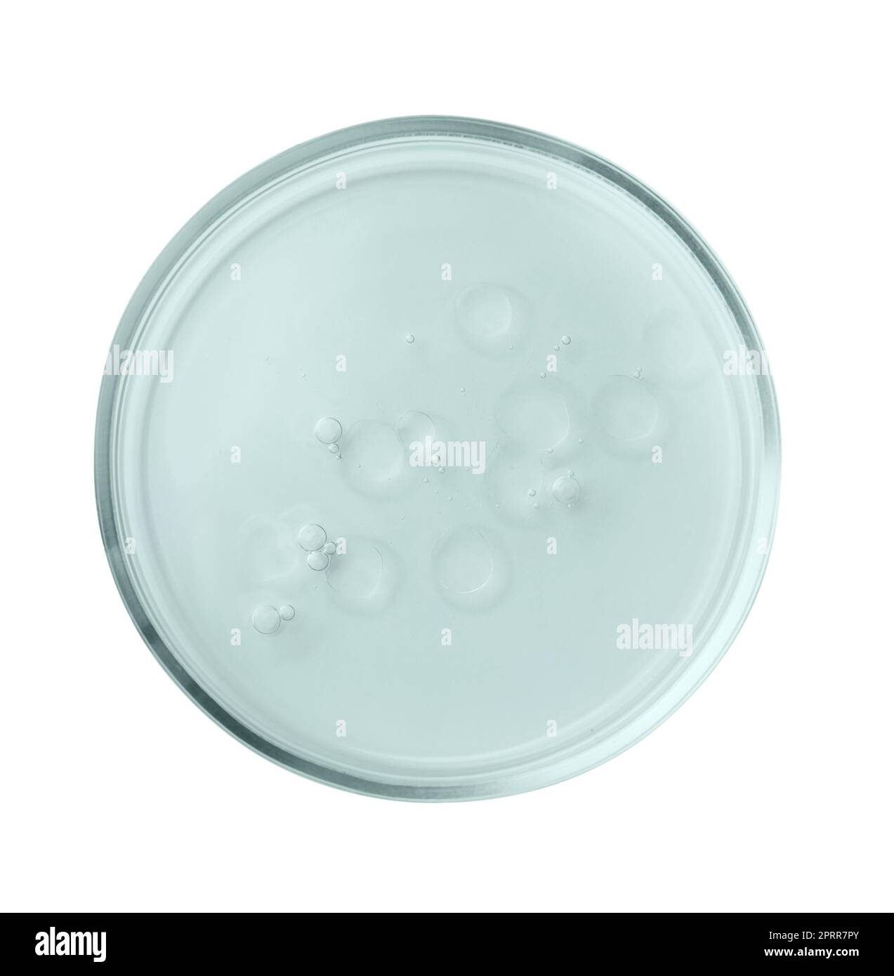 Boîte de Pétri avec liquide de couleur isolé sur blanc, vue de dessus Banque D'Images