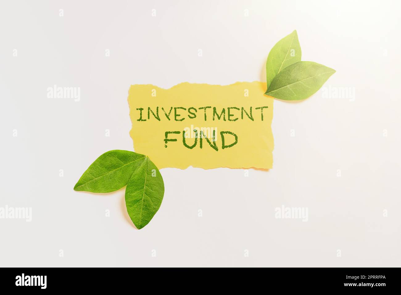 Rédaction affichant le texte Fonds d'investissement Une fourniture de capital appartenant à de nombreux investisseurs. Internet concept Fourniture de capital appartenant à de nombreux investisseurs Banque D'Images