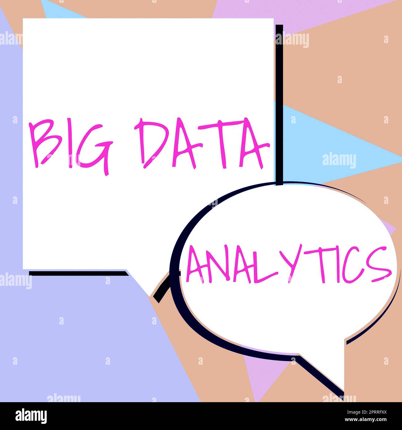 Panneau textuel montrant les analyses Big Data : processus d'examen de jeux de données volumineux et variés. Concept d'Internet processus d'examen d'ensembles de données vastes et variés Banque D'Images