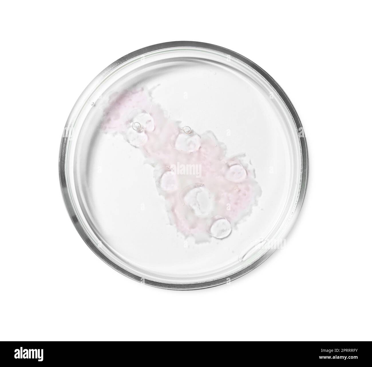 Boîte de Pétri avec liquide sur fond blanc, vue de dessus Banque D'Images