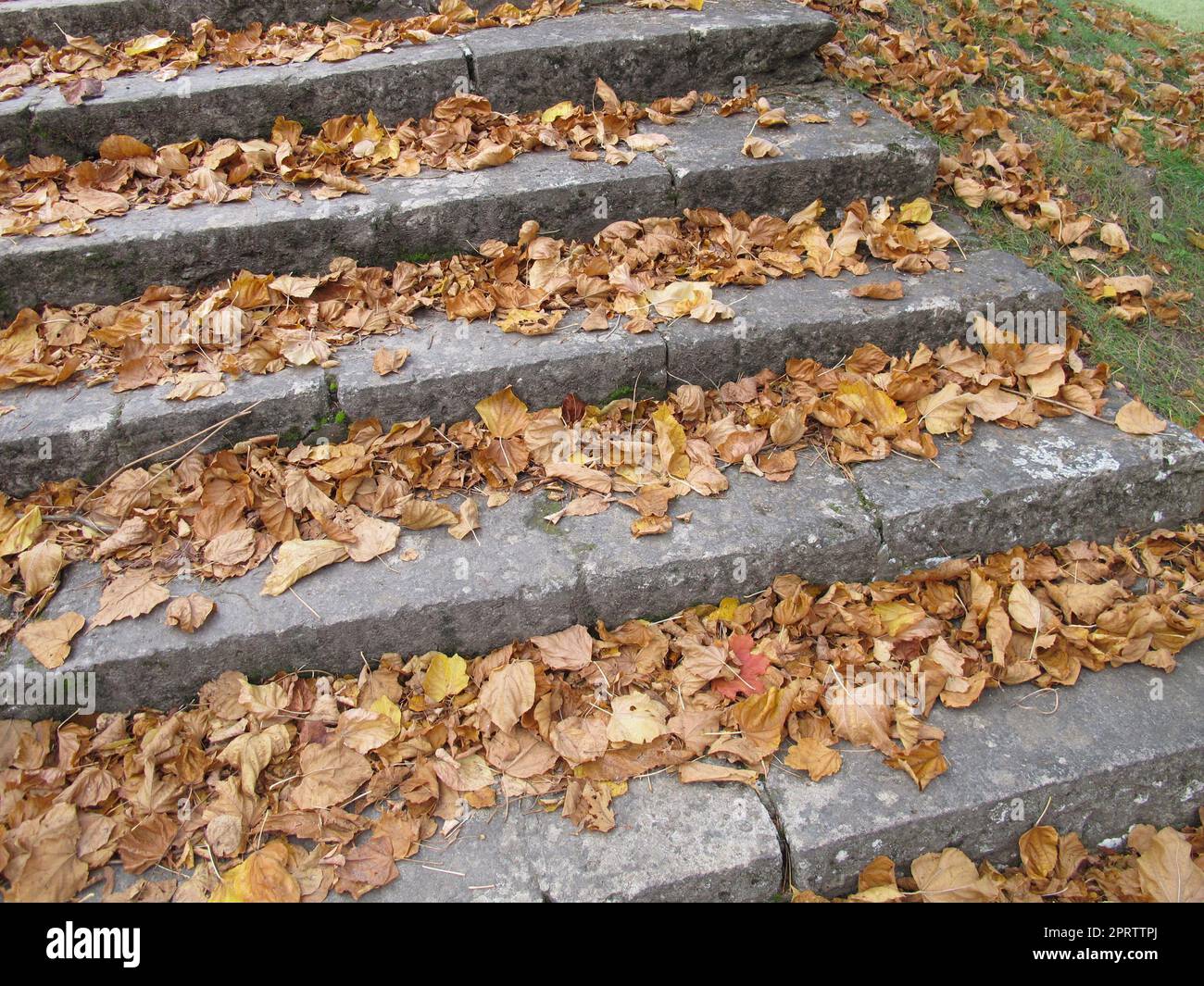 Les feuilles d'automne dans les escaliers Banque D'Images