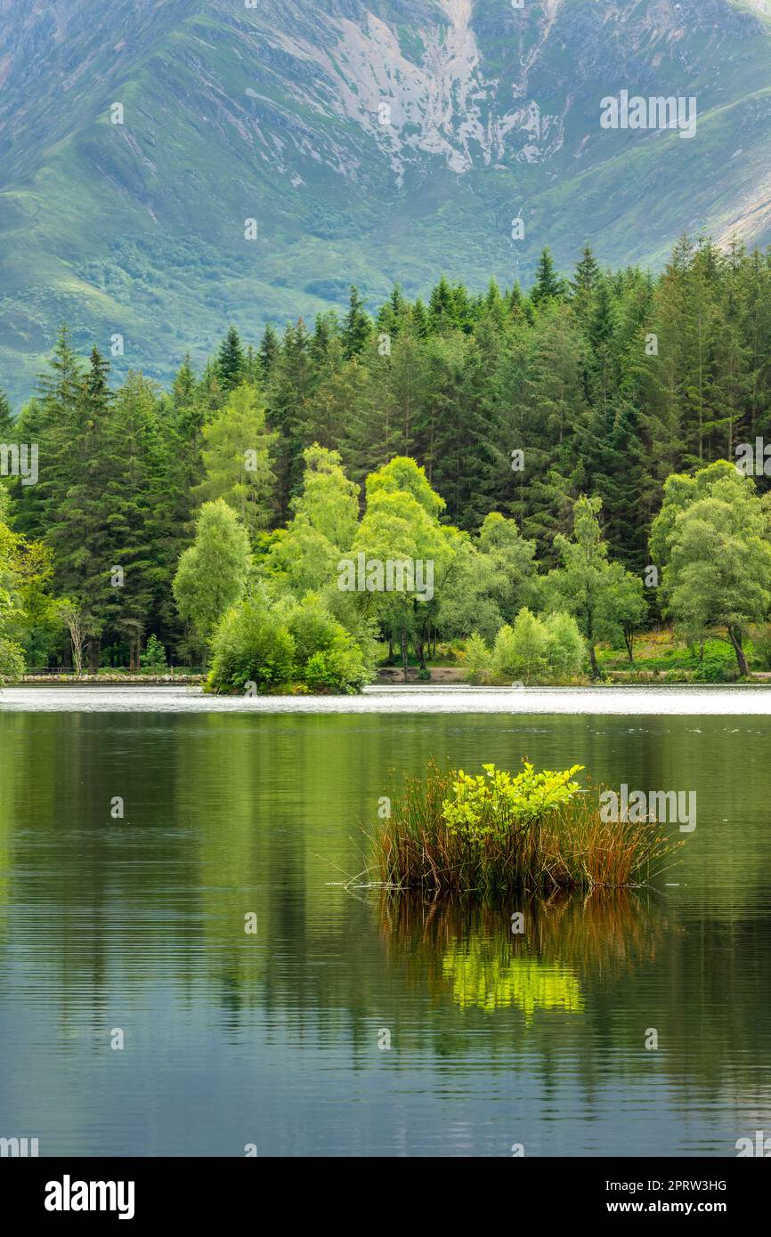 Paysage d'été de Lochan près de Glencoe dans les Highlands d'Écosse, au Royaume-Uni Banque D'Images