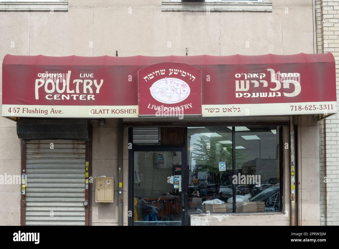 Le panneau de la canopée à l'extérieur du Cohn's Live Poultry Center sur Flushing Avenue à Brooklyn, New York. Le panneau est en yiddish et en anglais. Banque D'Images