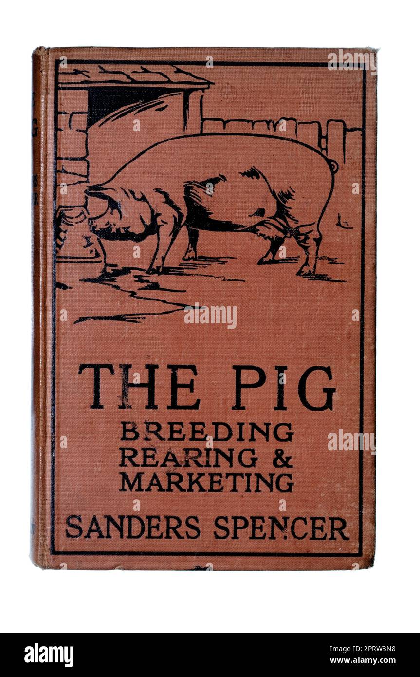 The Pig Breeding Elevage & Marketing par Sander Spencer Banque D'Images