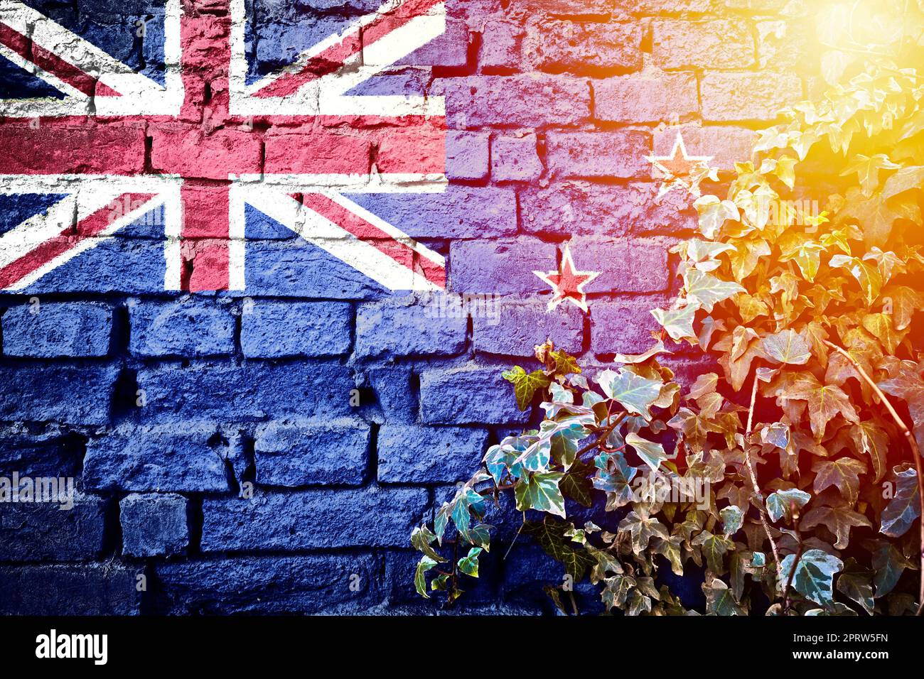 La Nouvelle-Zélande grunge drapeau sur mur de brique avec la plante ivy soleil brume vue Banque D'Images