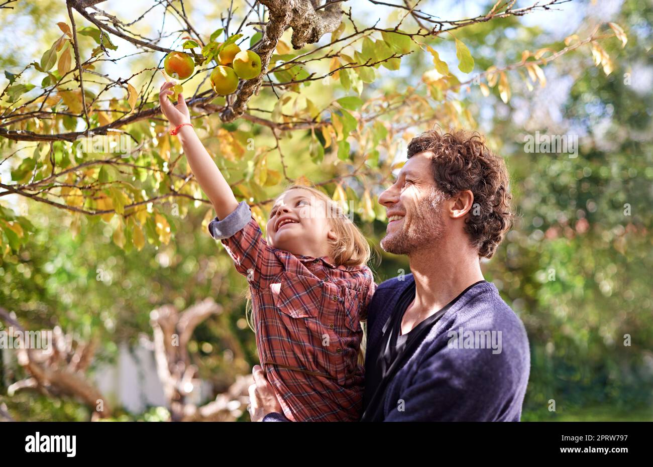 Les premiers signes de l'automne : une petite fille et son père dans le jardin à l'automne Banque D'Images