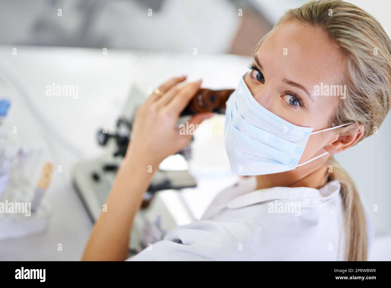 Enfin une percée. Un chercheur scientifique travaillant dans le laboratoire Banque D'Images