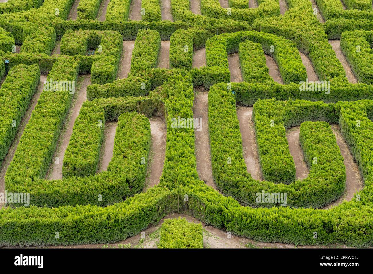 Le labyrinthe de Borges ou le labyrinthe de Borges sur Finca Los Alamos, San Rafael, Argentine. Banque D'Images