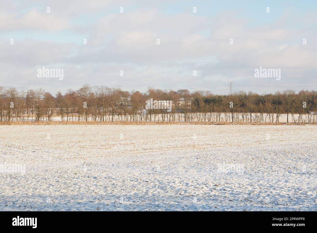 Hiver - campagne au Danemark. Paysage d'hiver par jour ensoleillé avec ciel bleu. Banque D'Images