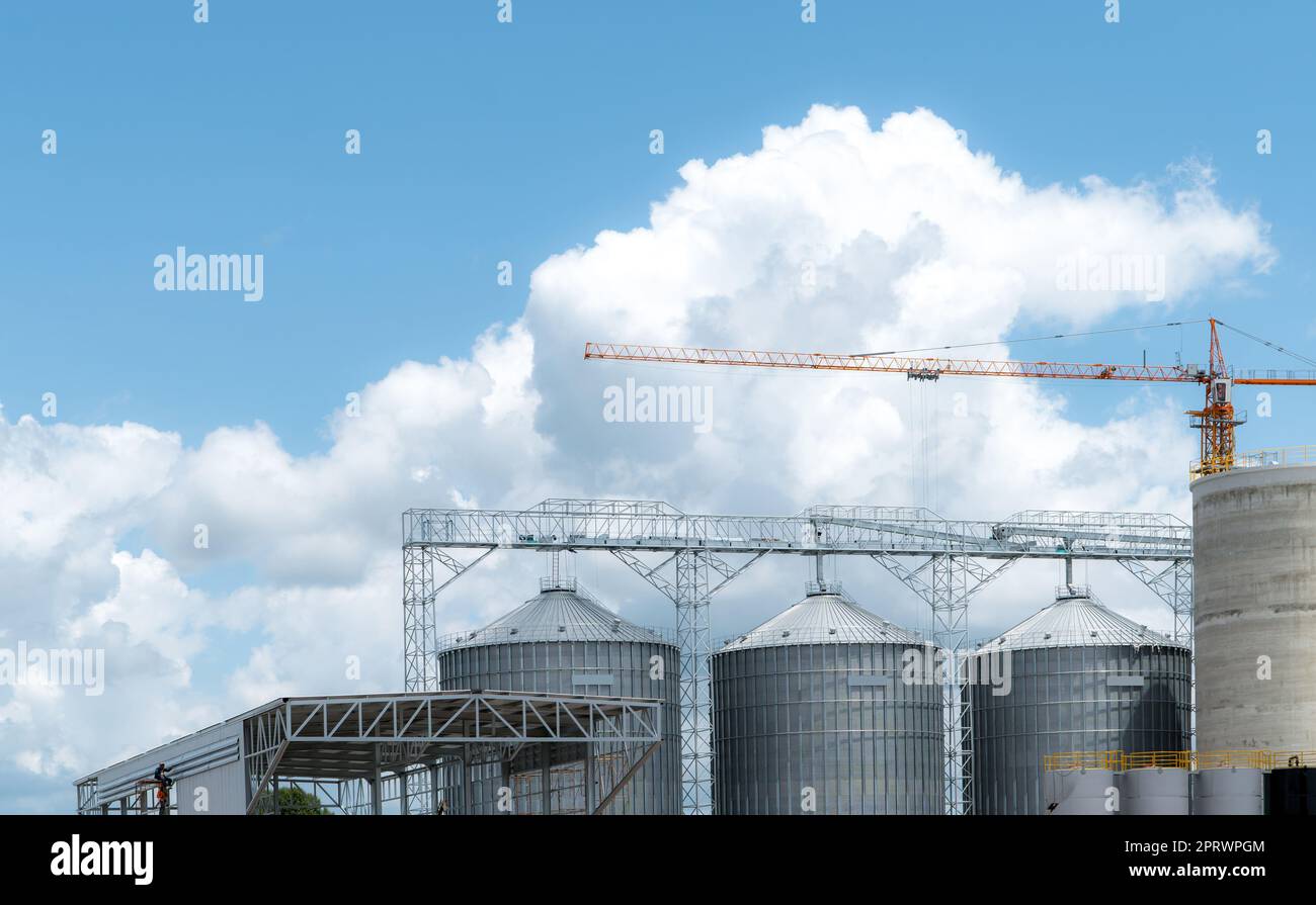Site de construction de l'usine d'alimentation animale. Silo agricole à l'usine d'alimentation. Trémie pour le stockage du grain dans la fabrication de l'alimentation. Tour de stockage de semences pour la production commerciale d'aliments pour animaux. Industrie de l'alimentation animale. Banque D'Images