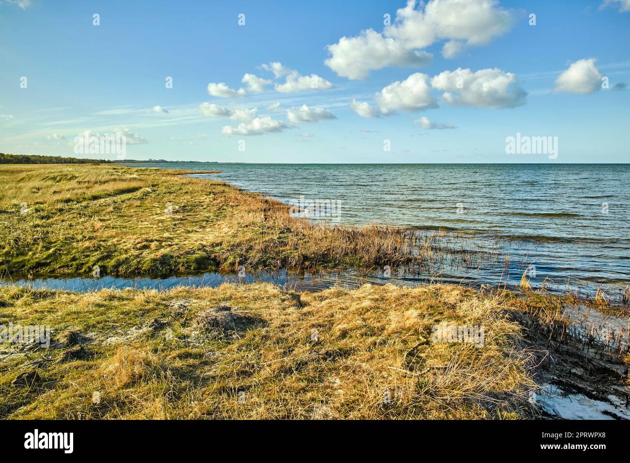 La côte est de Jutland, Danemark. Photos de la nature du Danemark. Banque D'Images