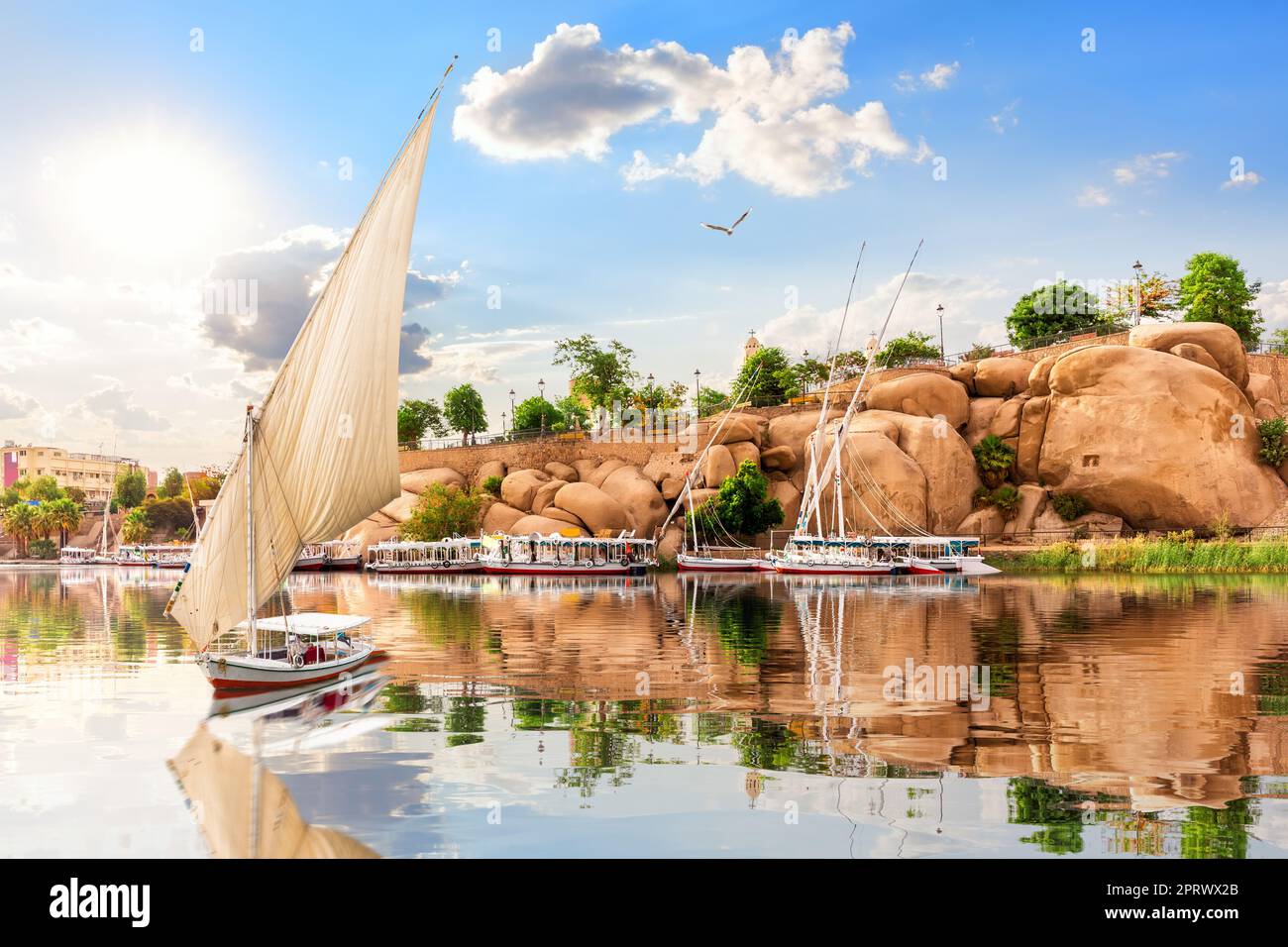 Le bateau navigue sur les rives pittoresques du Nil et les bâtiments traditionnels d'Assouan, en Égypte Banque D'Images