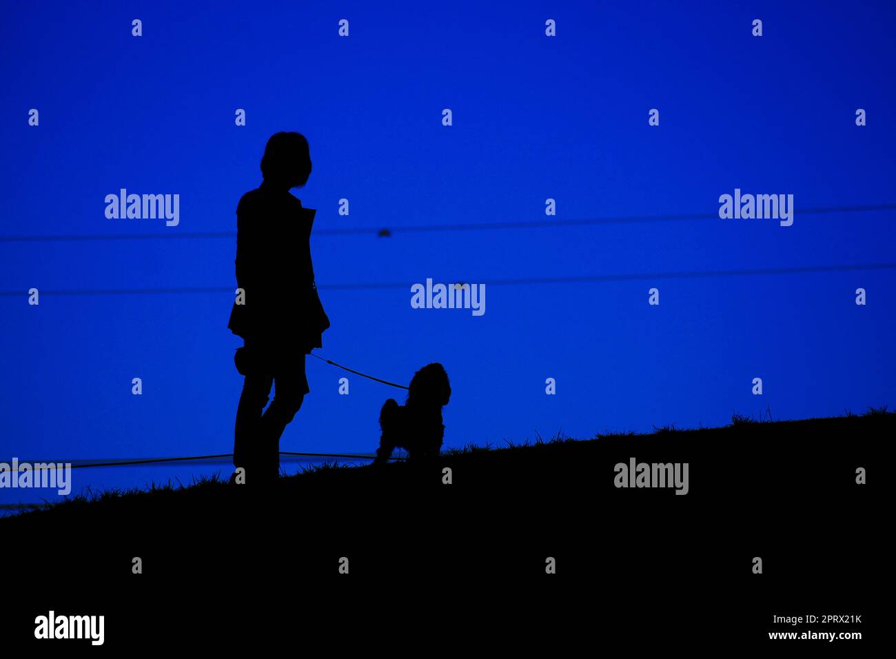 Image de silhouette de la marche en crabe (papier peint) Banque D'Images