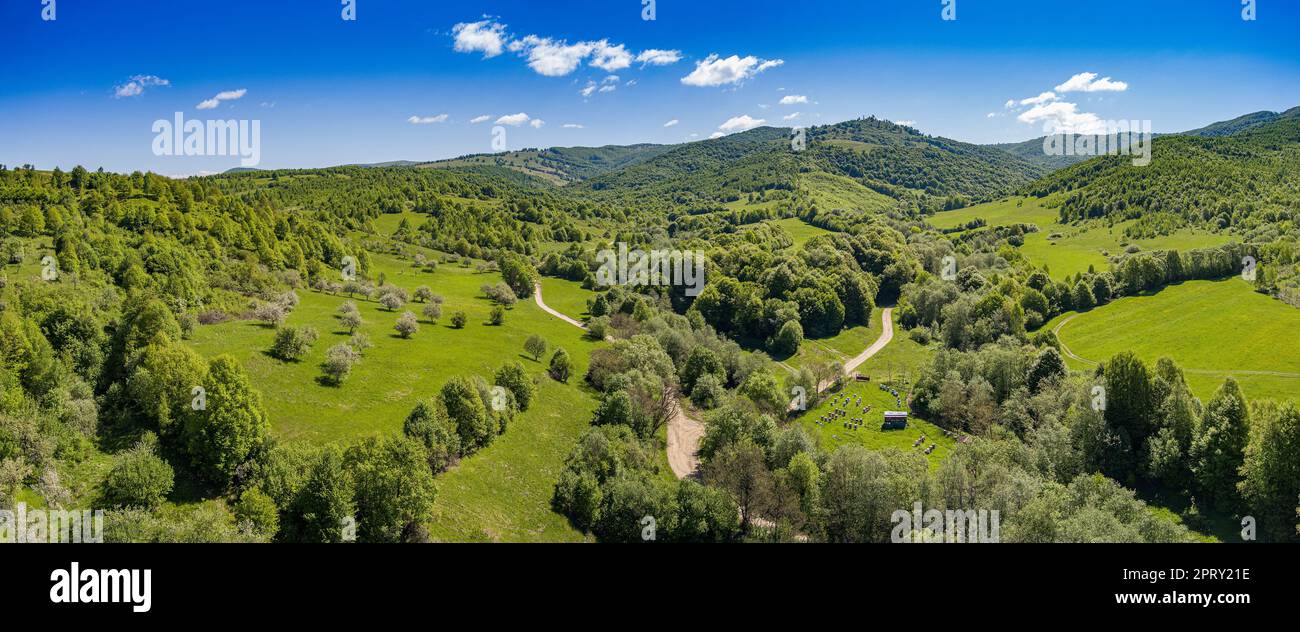 Vue Arial d'un apiaire avec de nombreuses ruches d'abeilles dans les montagnes de Roumanie. Concept d'apiculture Banque D'Images