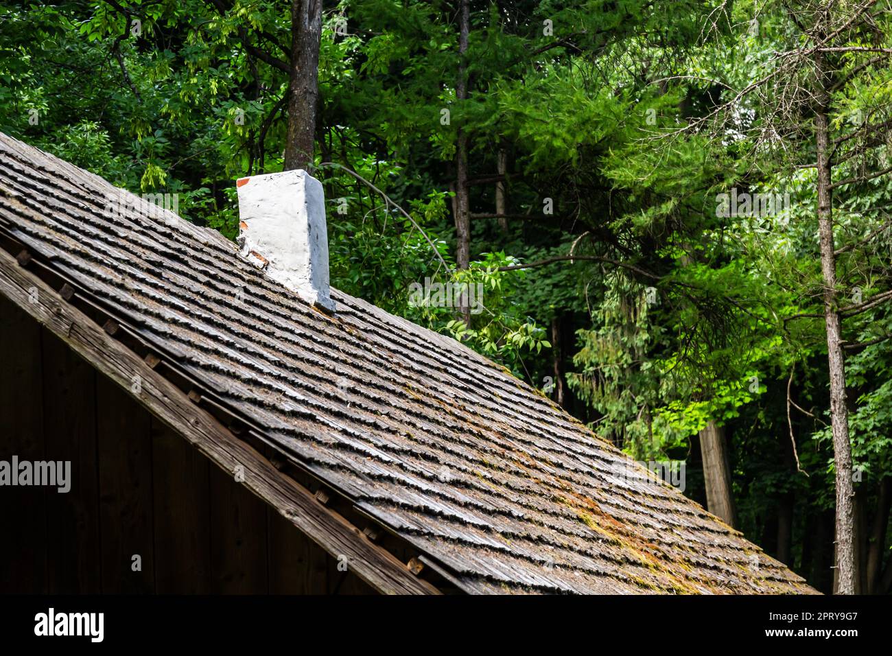 Tuiles traditionnelles de toit en bois dans la région des Carpates ukrainiens. Ancien toit recouvert de tuiles en bois. Banque D'Images