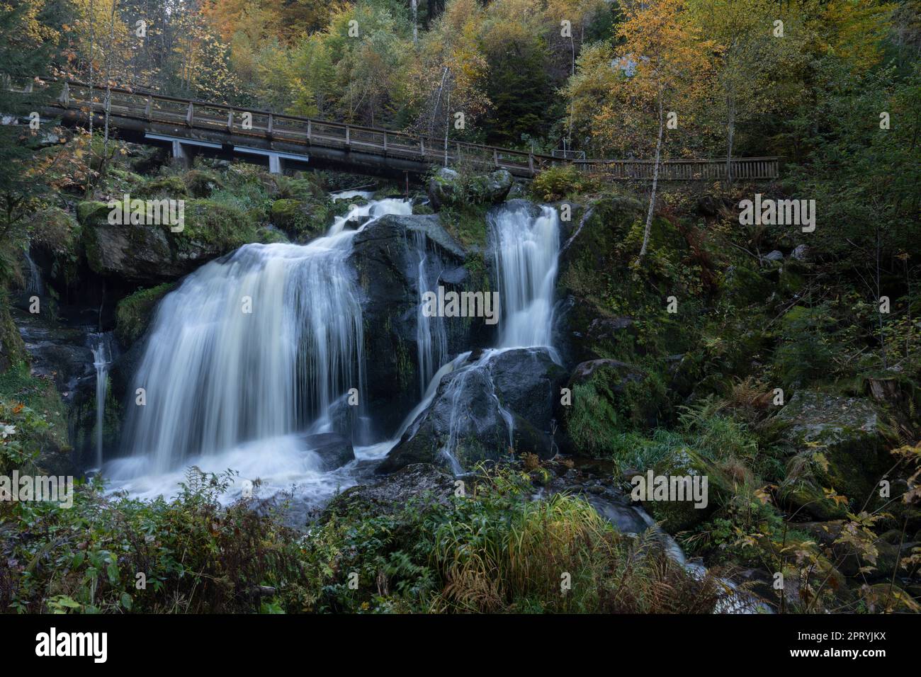 Chutes d'eau de Triberg dans la Forêt-Noire en Allemagne en automne Banque D'Images