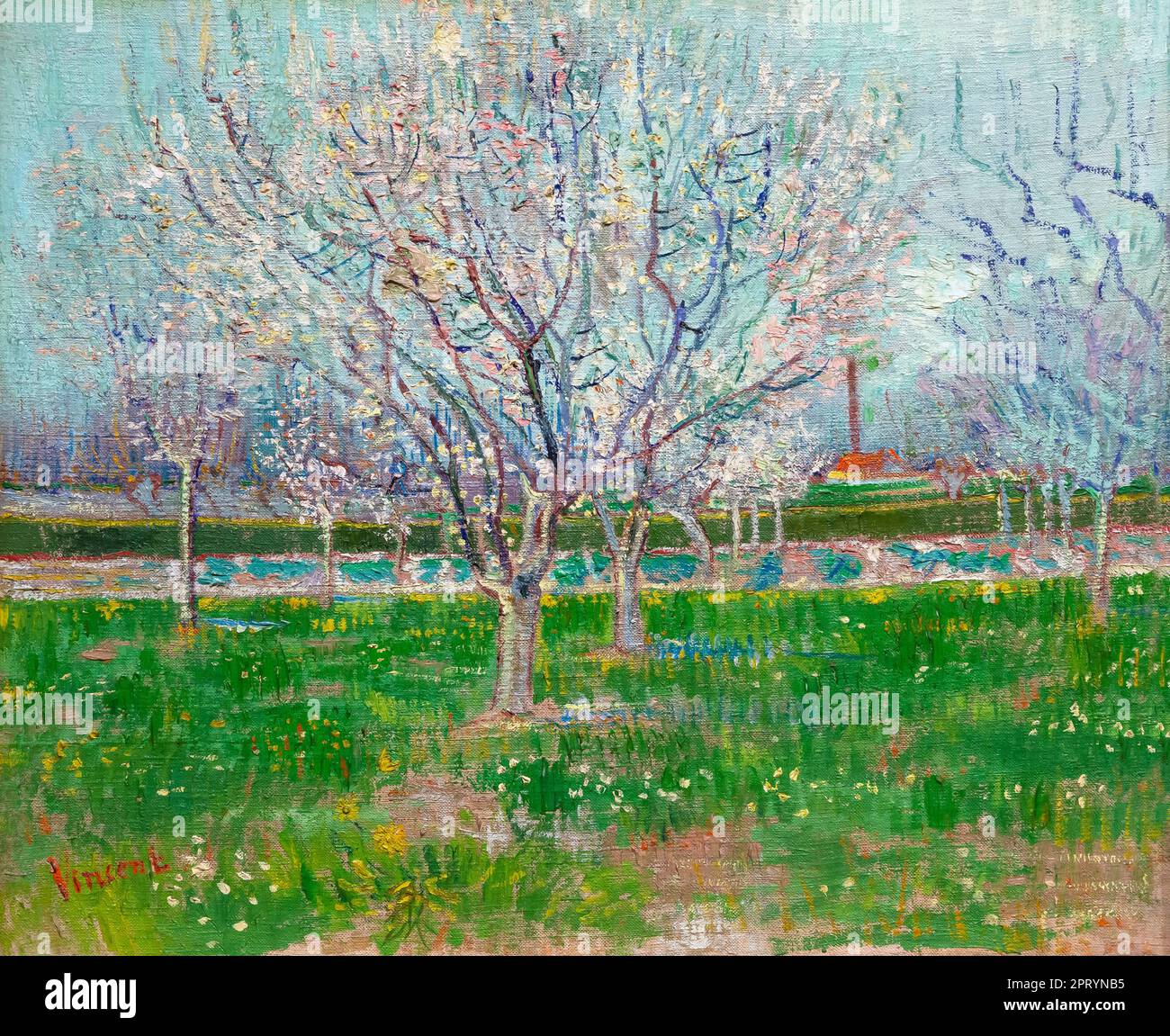 Orchard in Blossom, Plum Trees, Vincent van Gogh, 1888, Banque D'Images