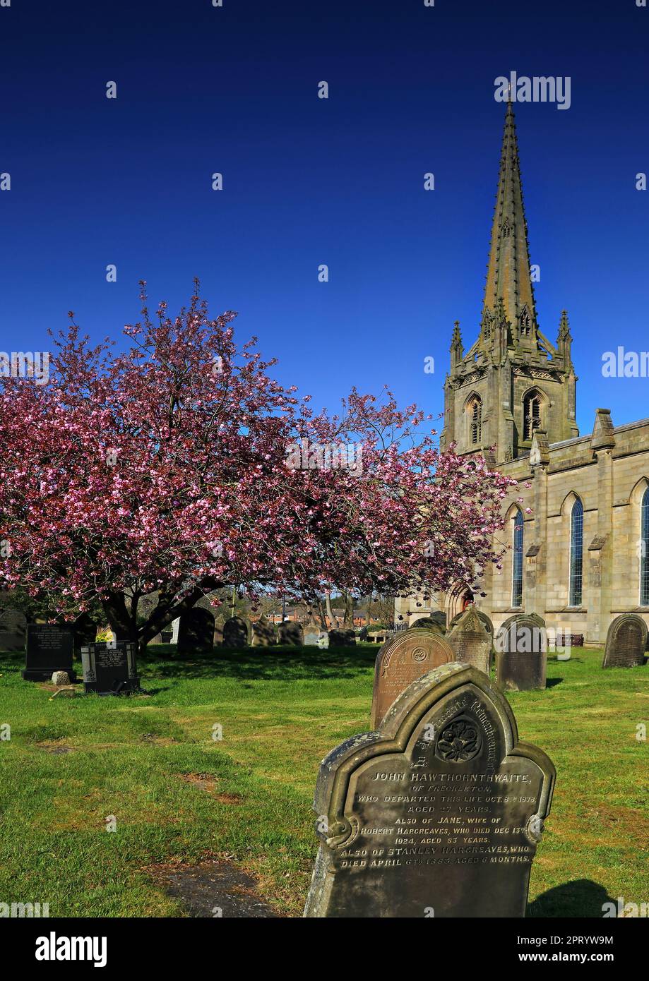 Cerisier dans le cimetière n°1 Banque D'Images