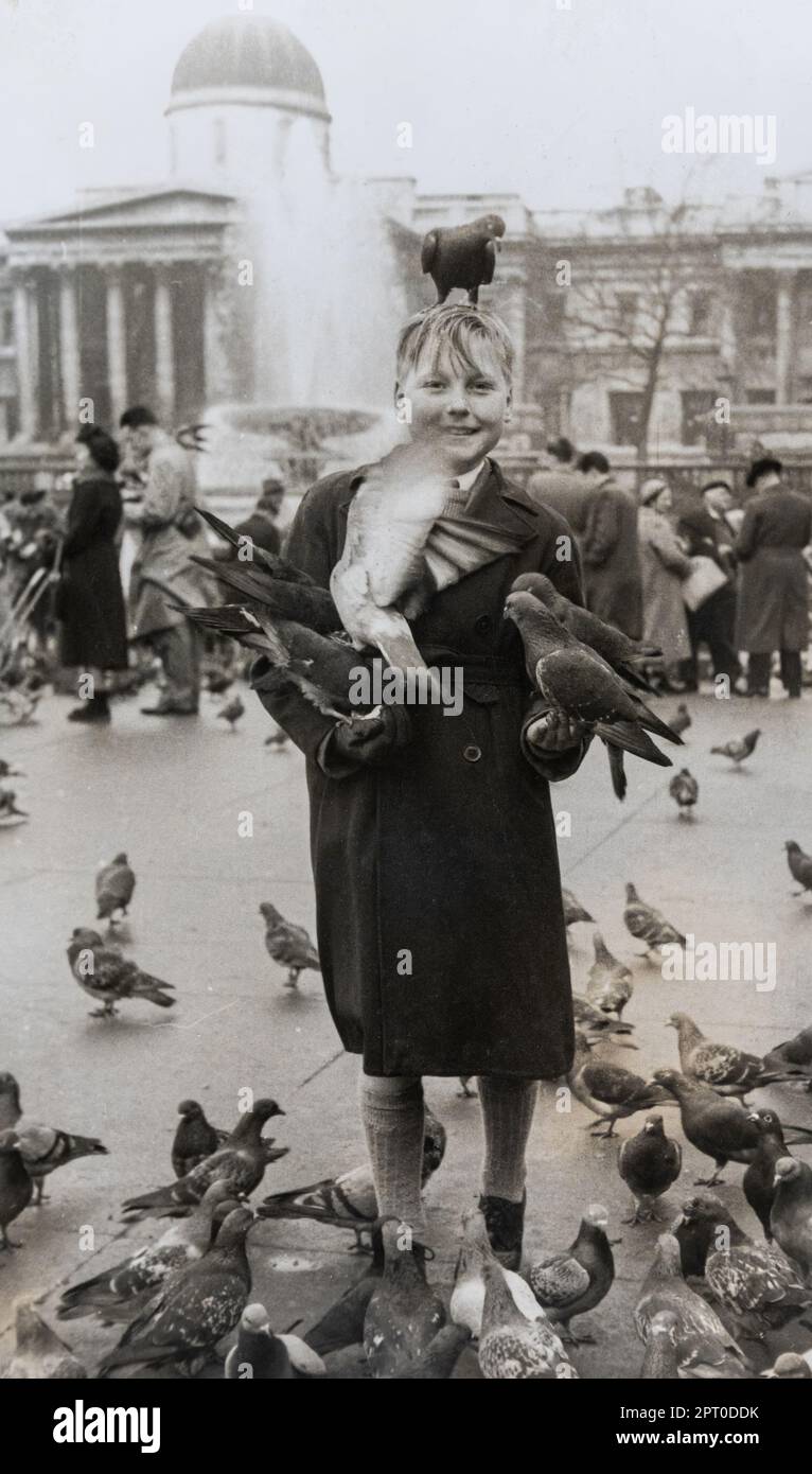 Garçon à Trafalgar Square nourrissant les pigeons, photo d'archives de la mi-1950s, Londres, Angleterre, Royaume-Uni Banque D'Images