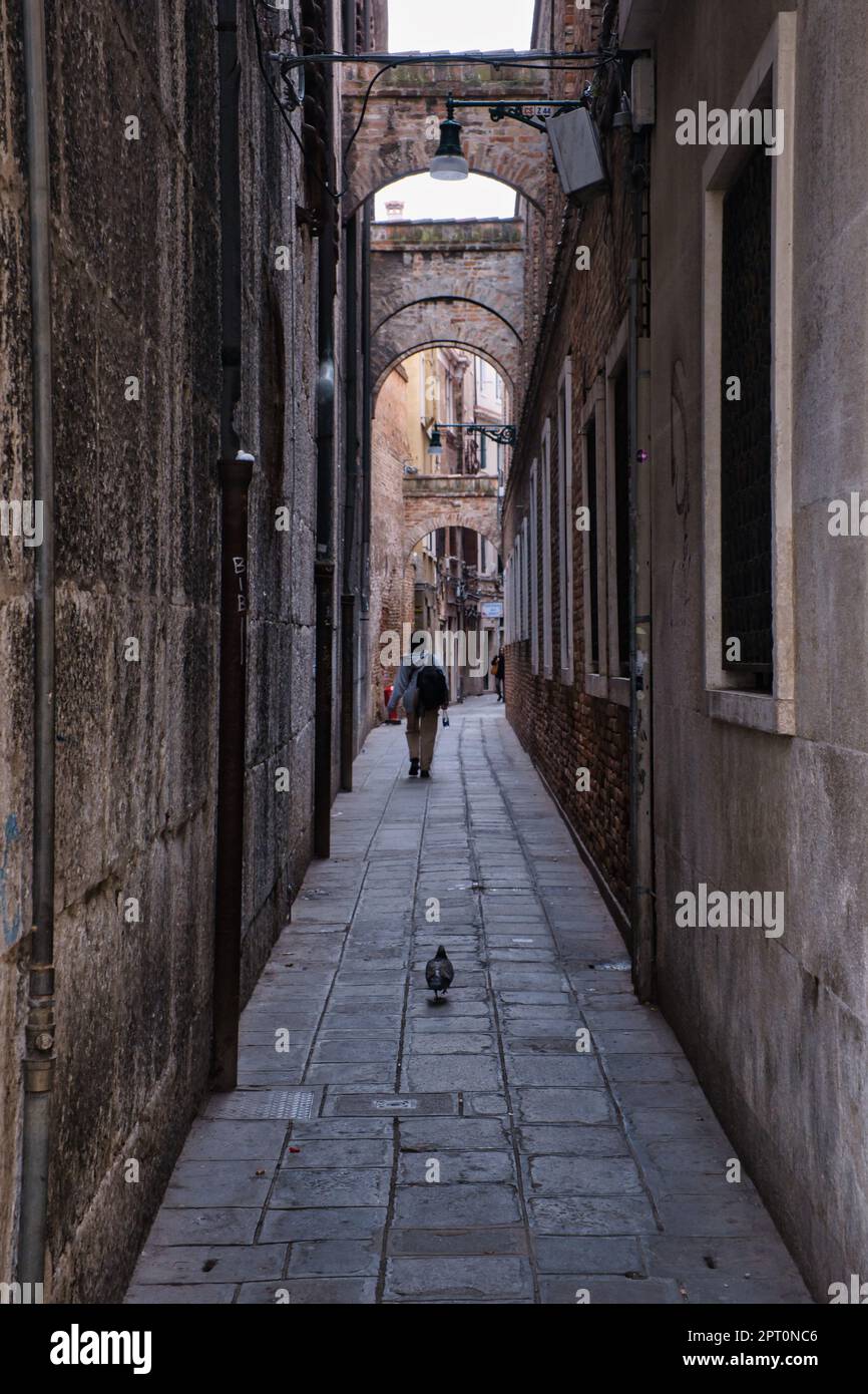 Vue sur une allée piétonne étroite, une rue typique, à Venise Banque D'Images