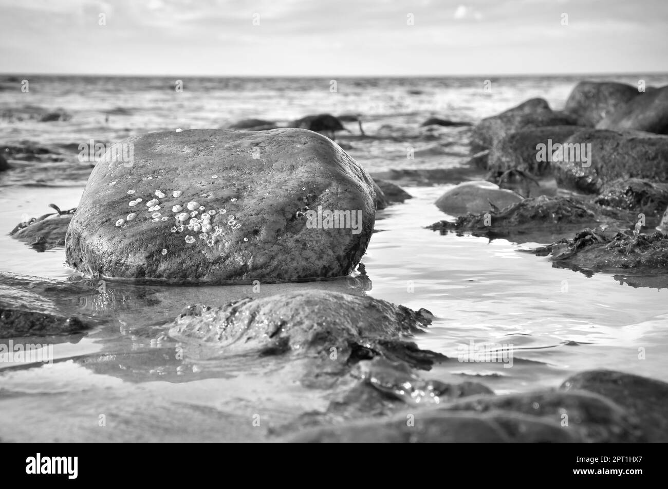 Grande pierre en noir et blanc prise dans l'eau sur la plage dans la mer. Côte danoise par temps ensoleillé. Paysage sur l'eau Banque D'Images