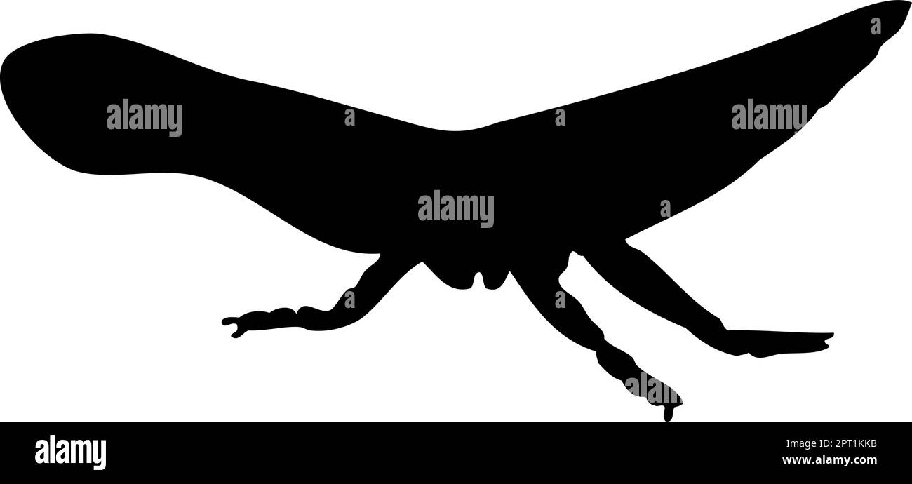 Silhouette de sauterelle Illustration de Vecteur